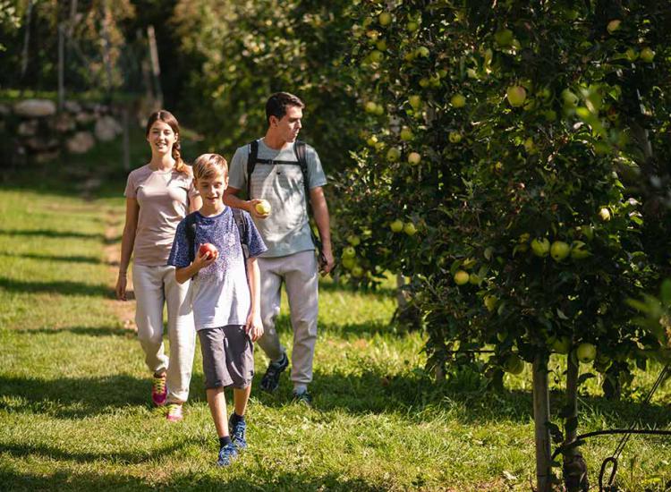 Passeggiando per i frutteti