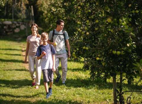 Passeggiando per i frutteti