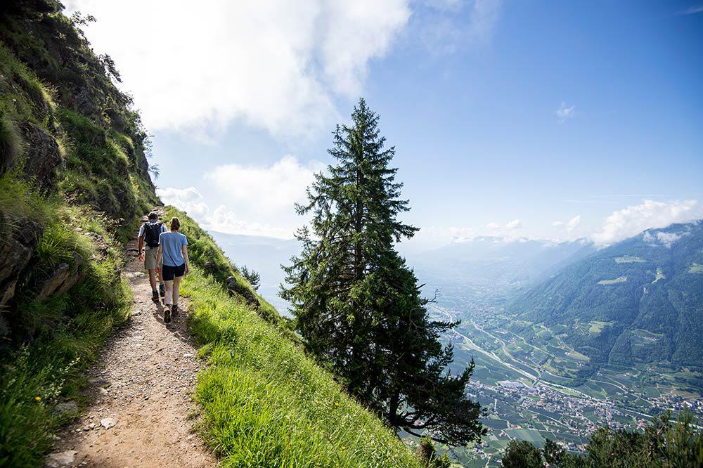 Wanderung auf dem Meraner Höhenweg mit Blick auf das Meraner Land